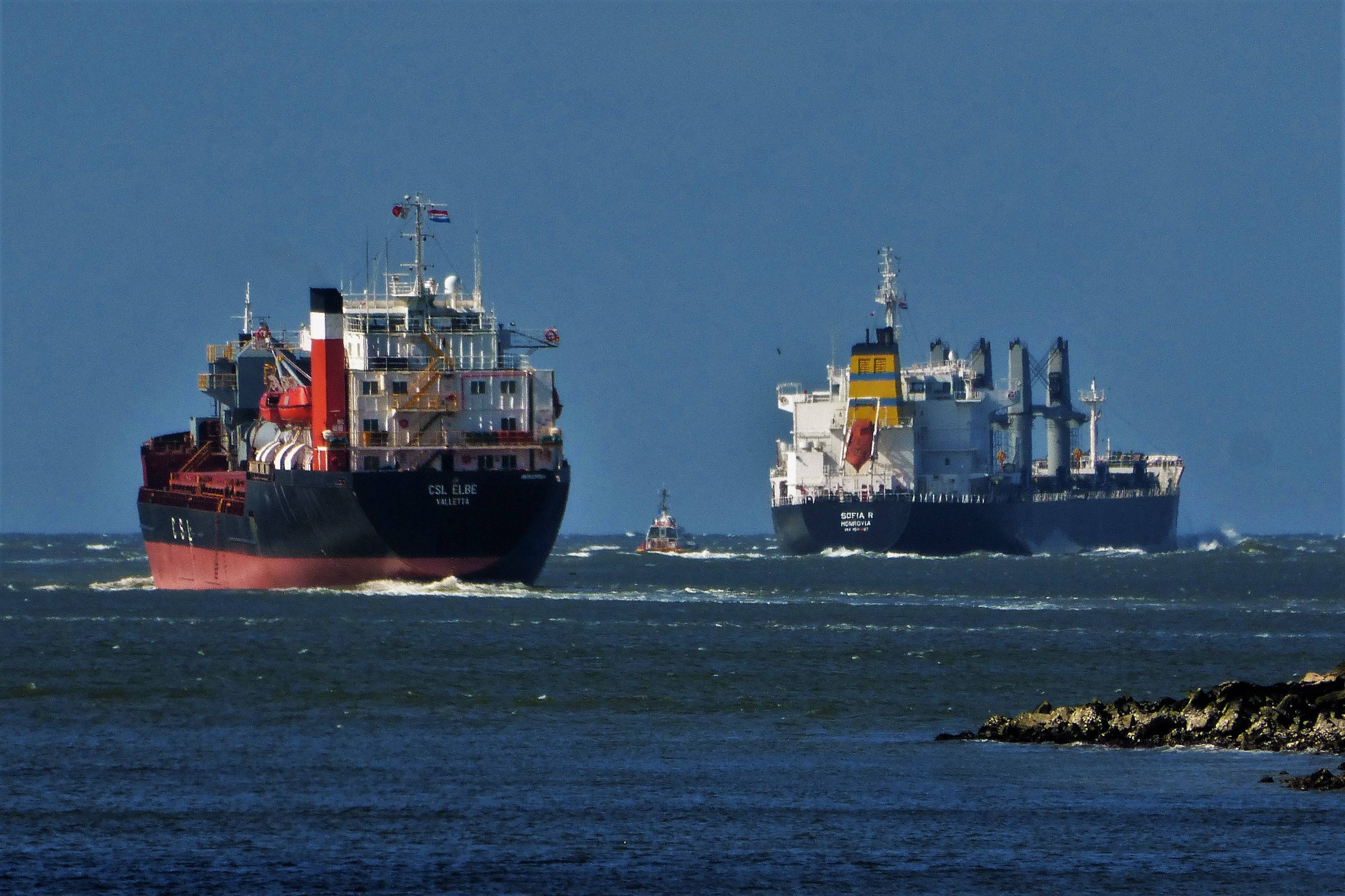 Pieren IJmuiden   28-03-20-1 